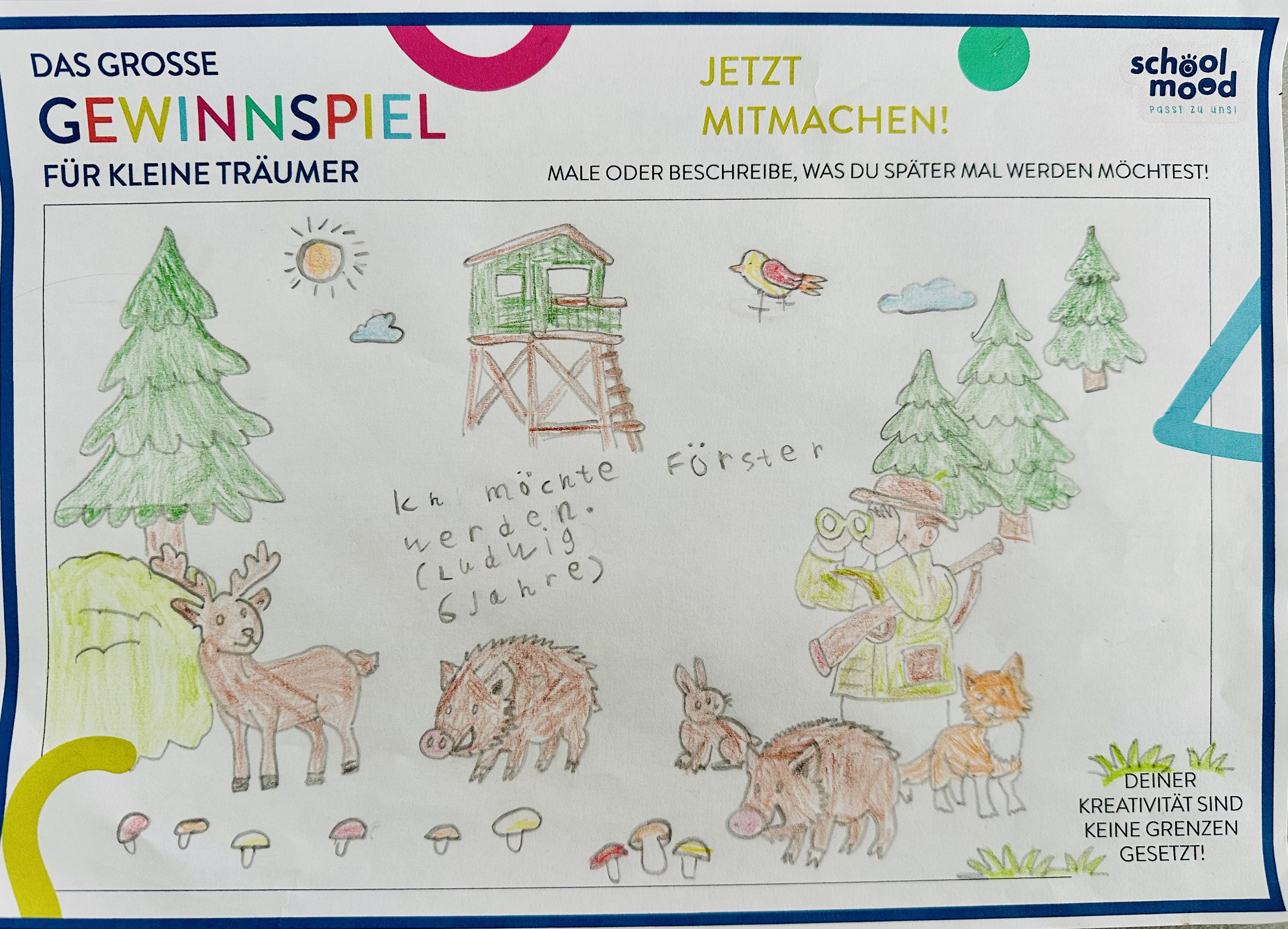 Ludwig, 6 Jahre - Förster