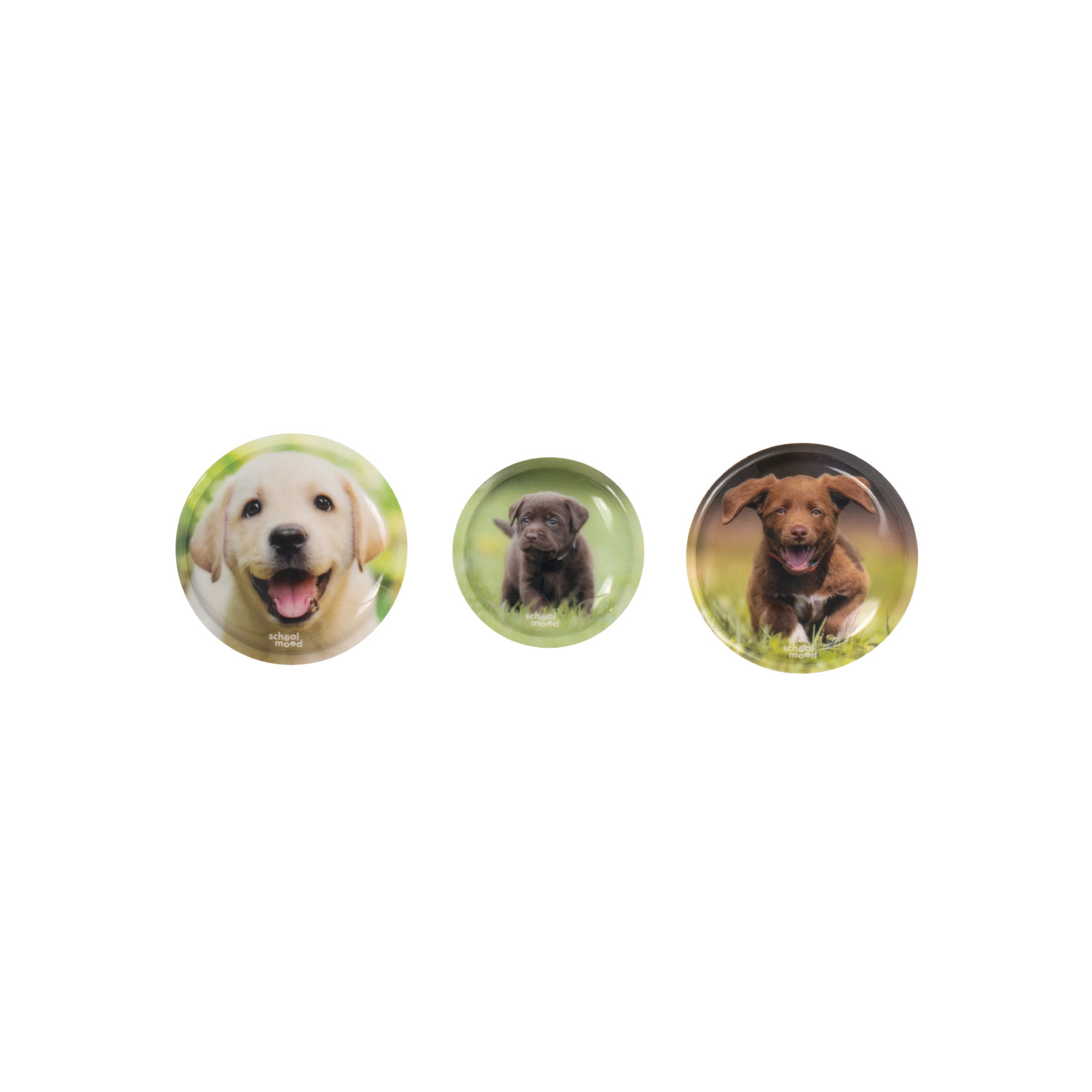 3er Patchy-Set Leni (Hund)  3er Patchy-Set Leni (Hund)