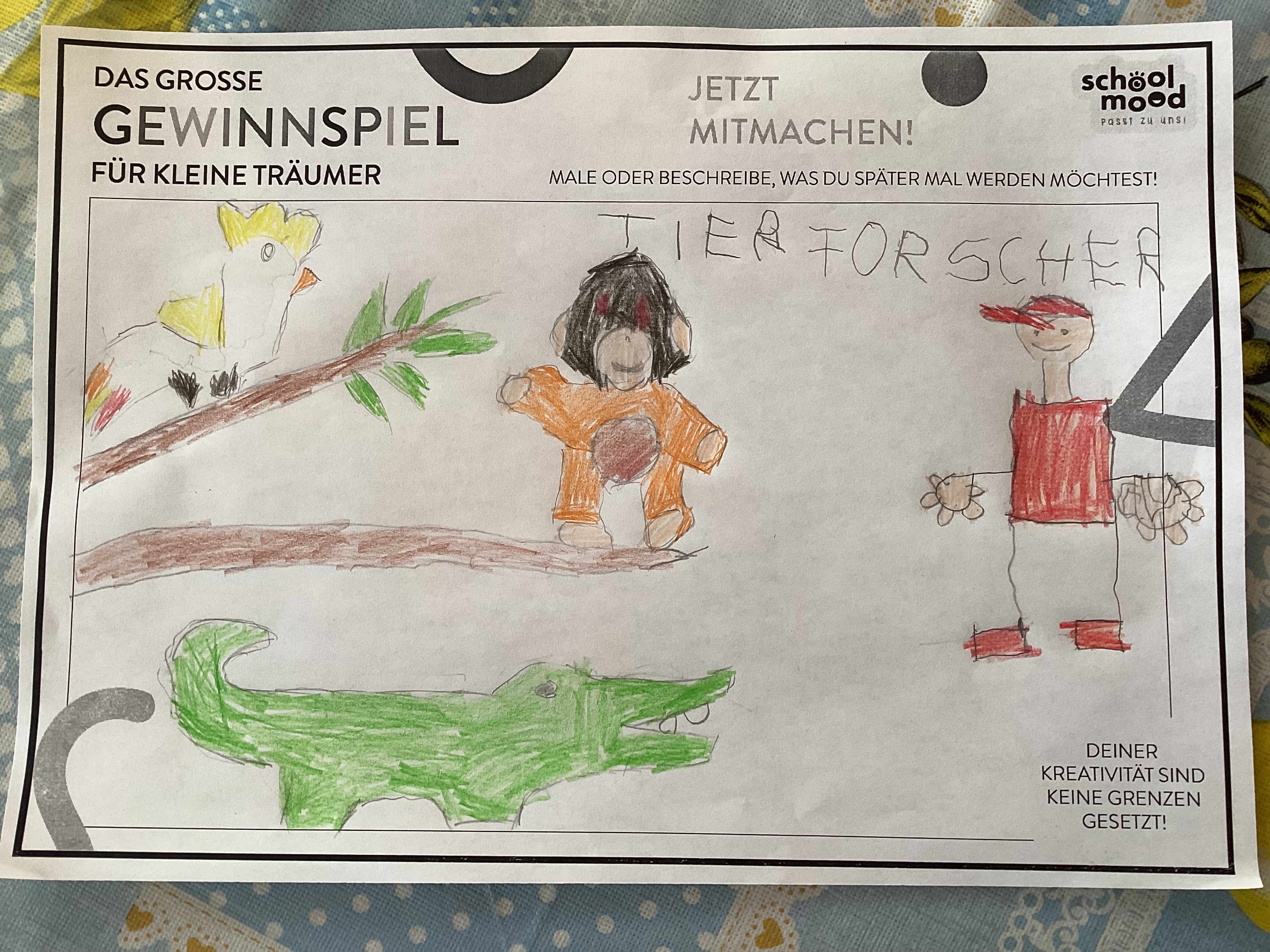 Tim, 6 Jahre - Tierforscher