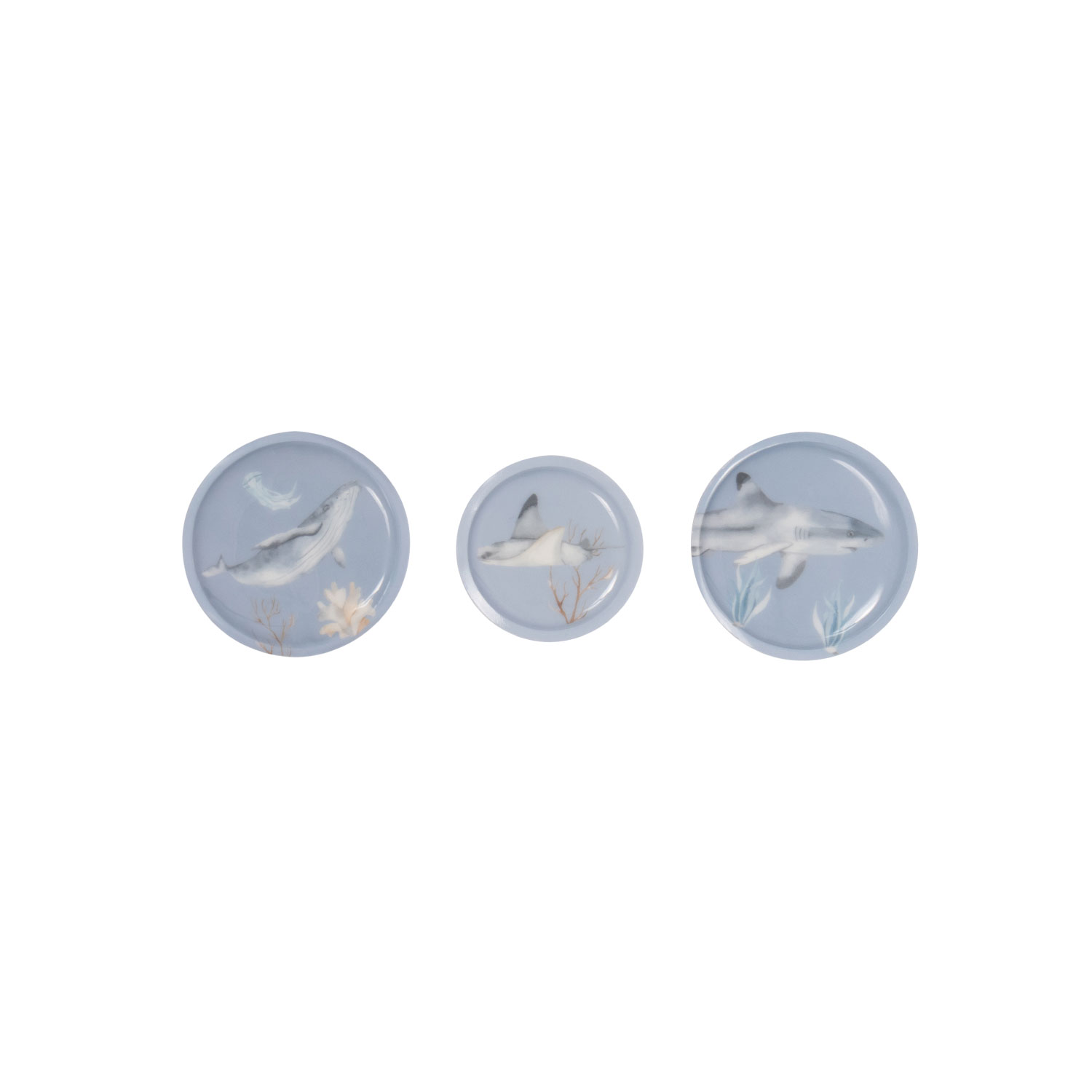 3er Patchy-Set Aqua 3er Patchy-Set Aqua